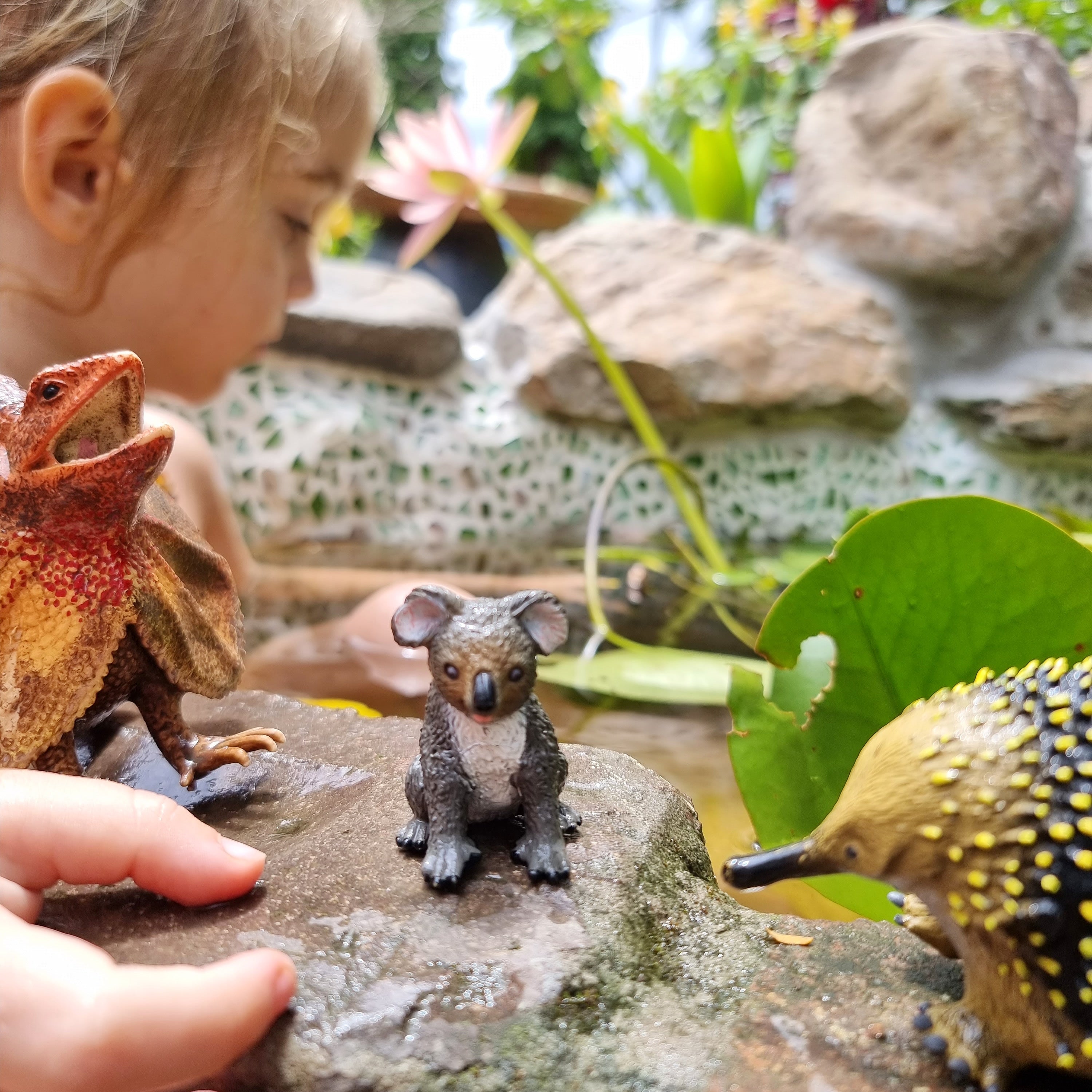 Realistic Australian Animal Figurines Set - Kangaroo, Koala, Wombat & More - Educational Wildlife Toys for Kids Collection | Perfect for Classroom, Playroom & Safari Themed Decor