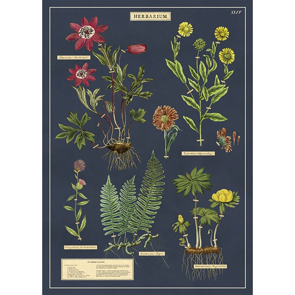 Premium Herbarium Wrap - Handmade Botanical Pressed Flower Art for Home Decor, Wedding Favors & DIY Scrapbooking - Perfect for Wall Art, Gift Wrapping & Craft Projects