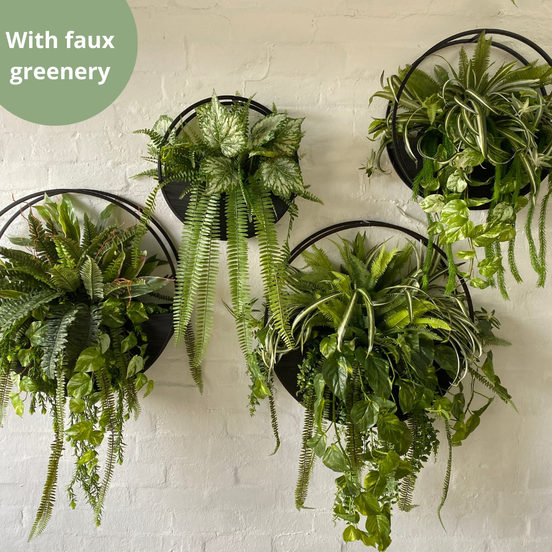 Half Moon Wall Planters for Indoor Plants - Black Wooden Wall Hanging Planter for Succulents, Herbs & Flowers - Perfect for Home, Office, Garden & Balcony Decor