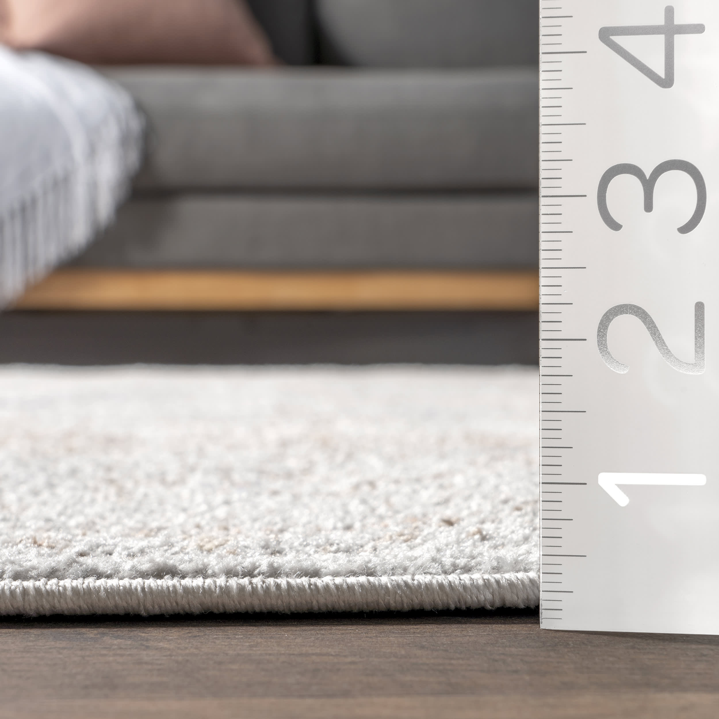 Florid Dreams Rug | Silver - Soft and Stylish Area Rug for Living Room, Bedroom, or Office Decor