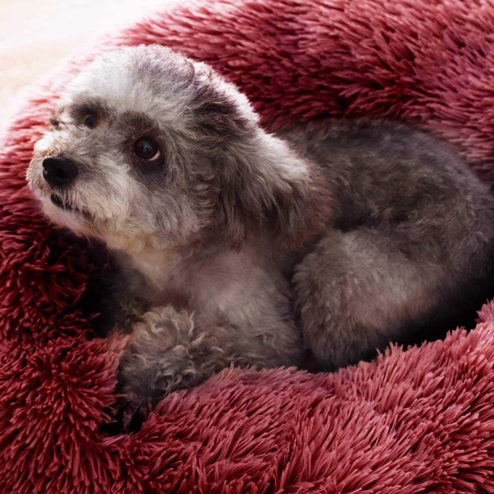 **Cozy Pet Cave Bed for Dogs & Cats - Warm & Soft Sleeping Bag, Cuddly Nest for Puppies & Kittens - Perfect for Indoor Use, Crate Training, and Cold Weather Comfort**