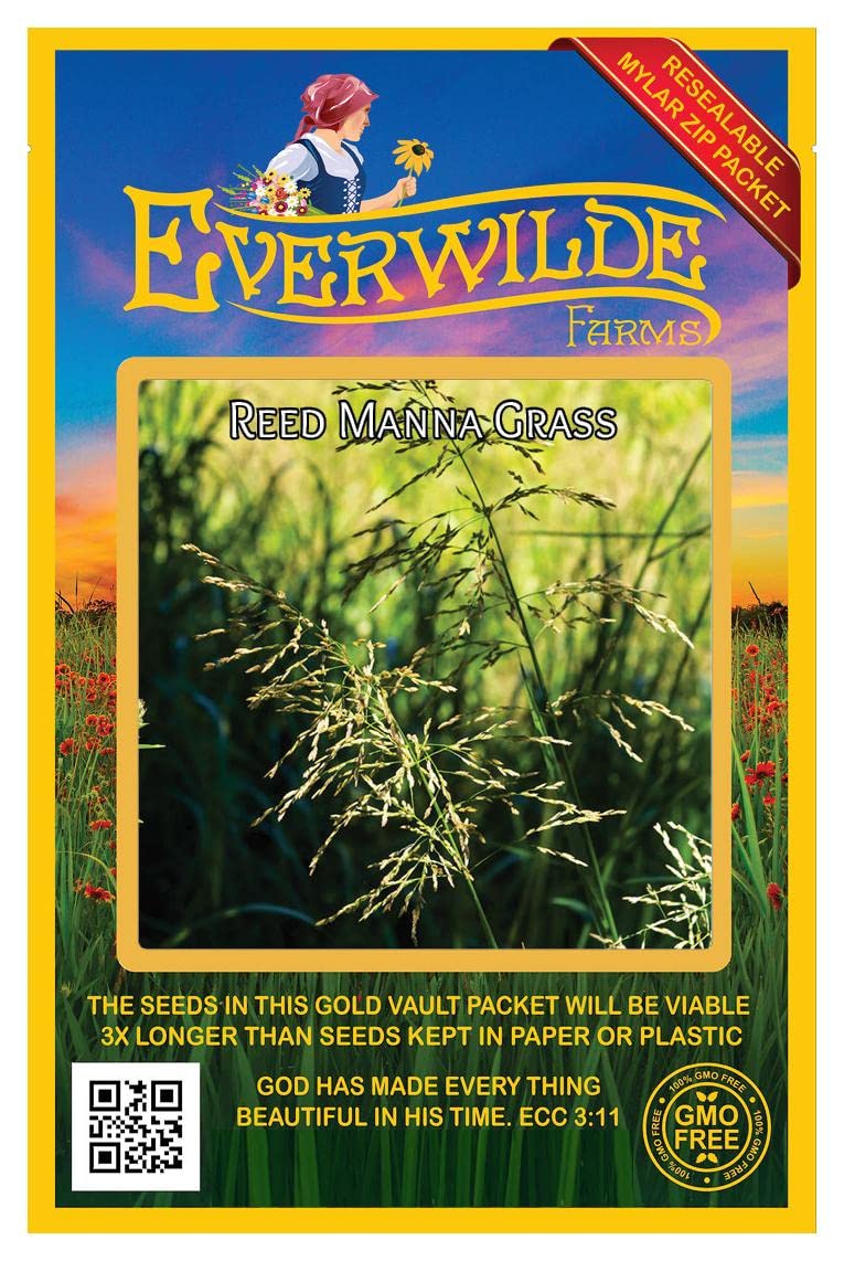 Everwilde Farms - 1000 Reed Manna Grass Native Seeds (Glyceria maxima) - Gold Vault Jumbo Seed Packet for Wetland Restoration & Erosion Control