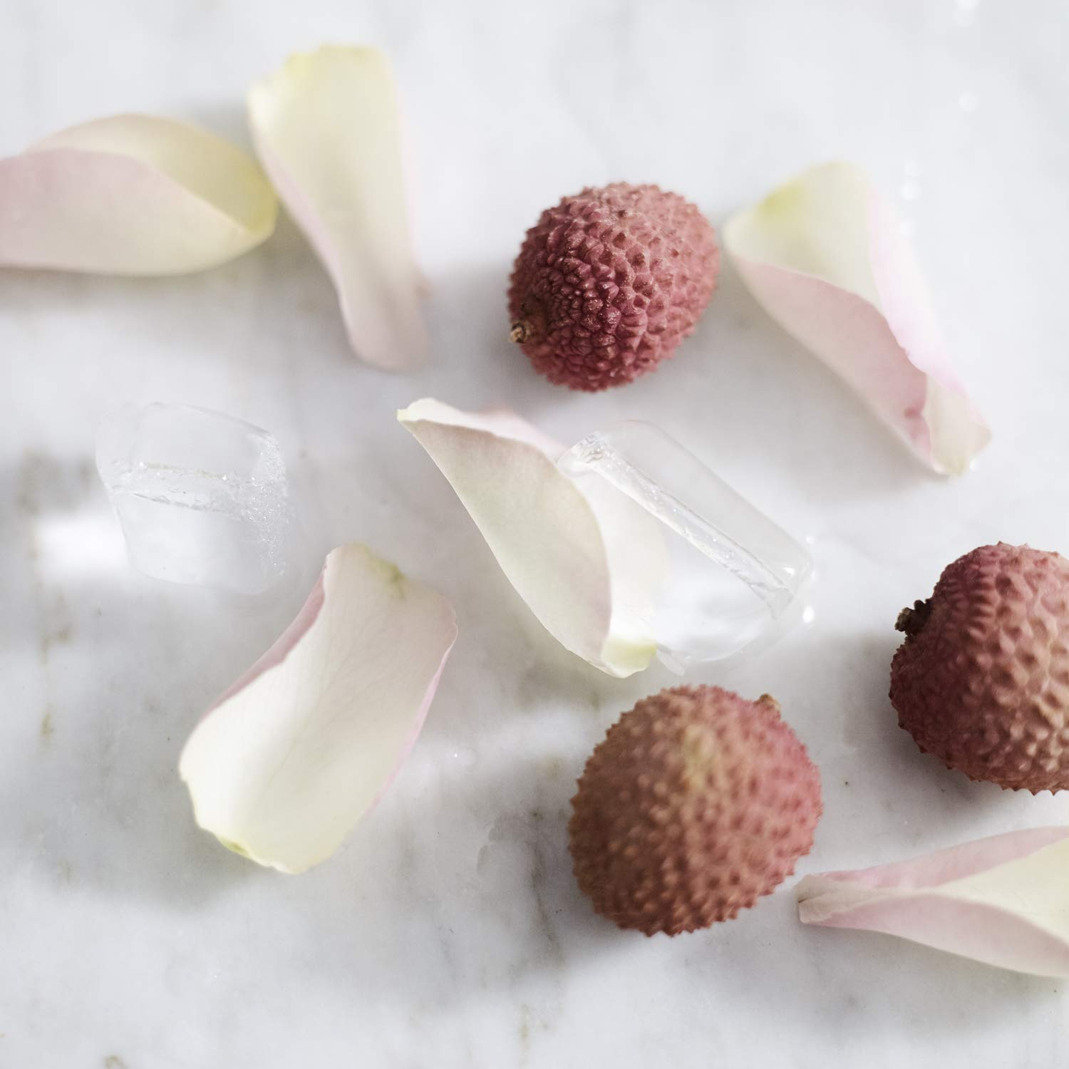 teapigs Lychee & Rose Cold Brew Tea - Whole Leaf Herbal Tea Bags (6 Packs of 10) - Perfect for Iced Tea, Summer Drinks & Relaxation