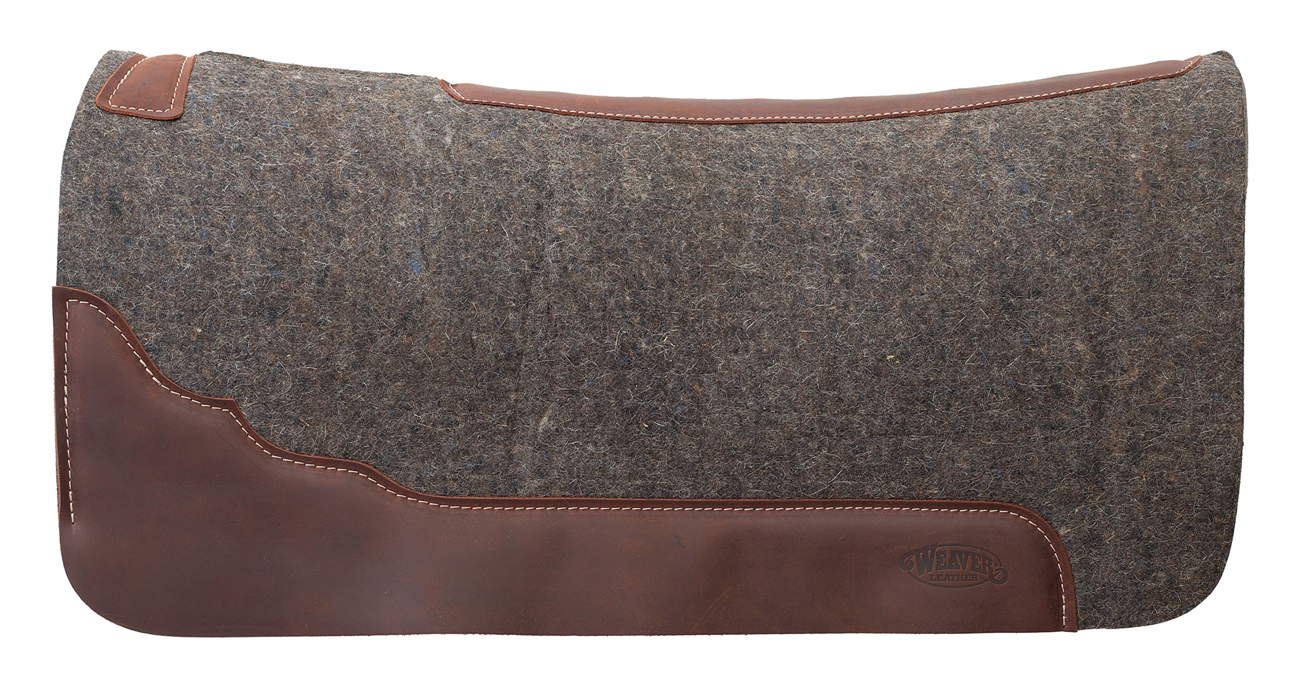 Premium 31