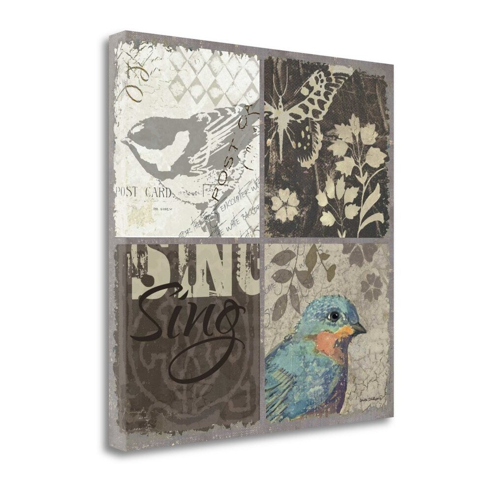 Bird 4 Patch I by Anita Phillips - Fine Art Giclee Print on Gallery Wrap Canvas - Ready to Hang Wall Art - Perfect for Living Room, Bedroom & Office Decor
