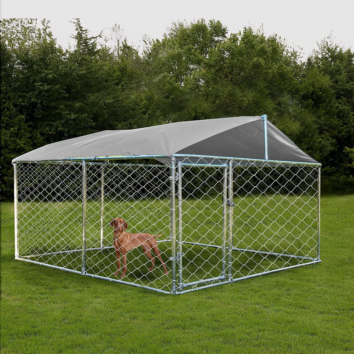 Outdoor Dog Kennel Playpen with Waterproof Roof Cover - Heavy Duty Metal Dog Fence for Backyard, Yard & Garden - Large Dog Run House for Medium & Big Dogs (Silver) | Perfect for Outdoor Play, Training & Secure Containment