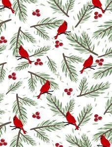 Christmas Cardinals Birds5