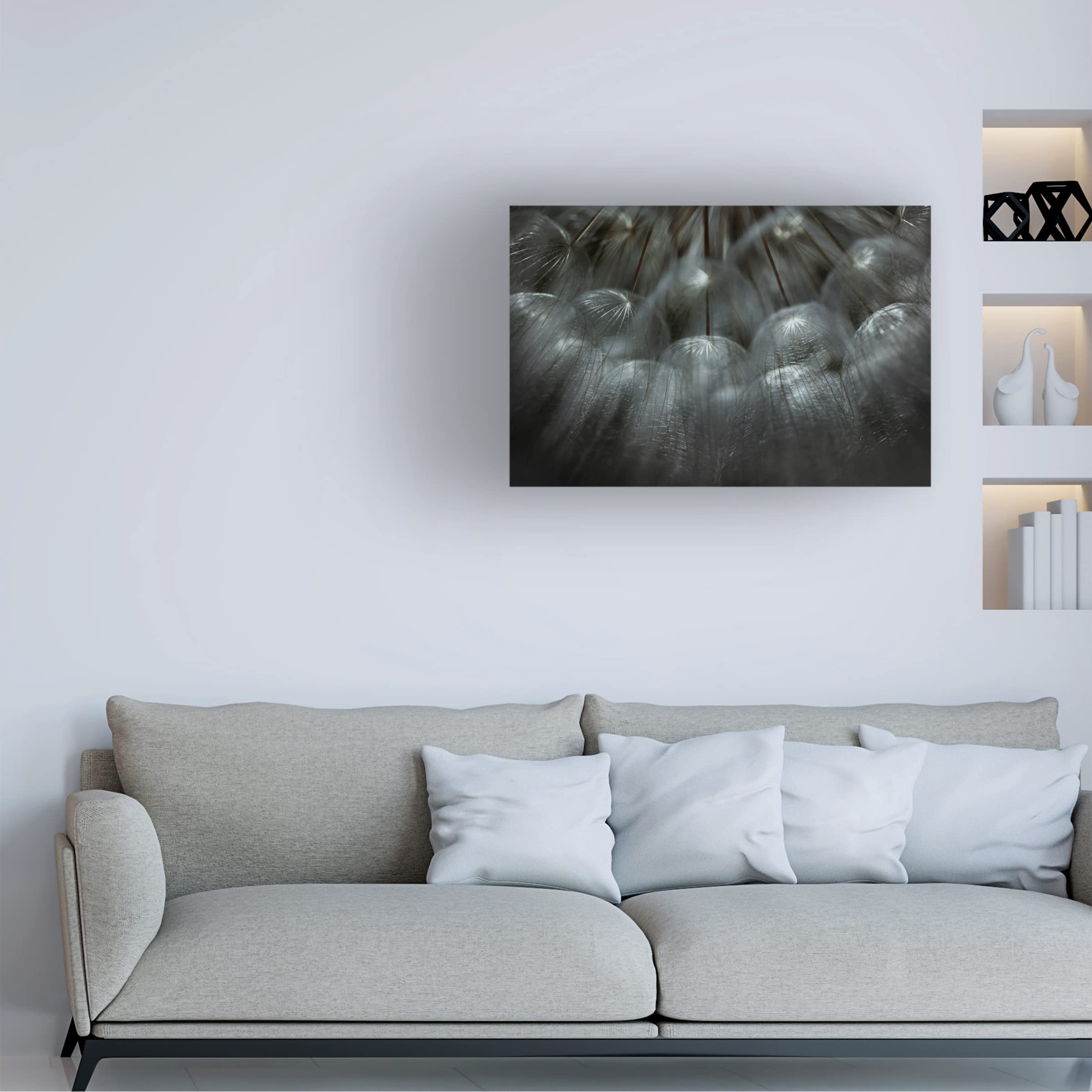 Trademark Fine Art 'Soffione' Canvas Wall Art by Antonio Grambone - Elegant Home Decor for Living Room, Bedroom & Office