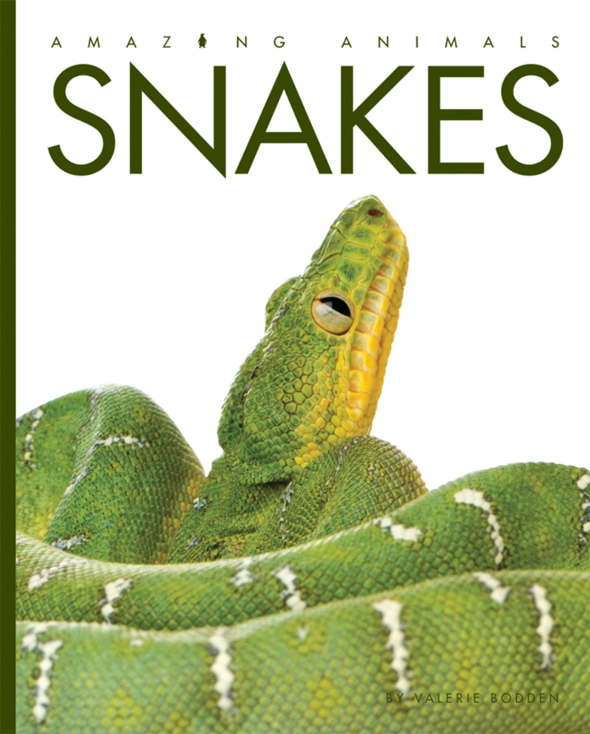 Amazing Animals (2014) - Snakes Documentary | Wildlife & Nature Exploration | Perfect for Animal Lovers & Science Education