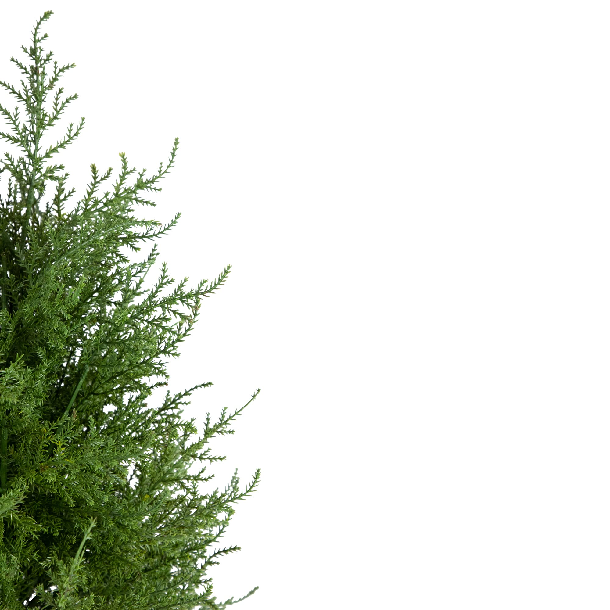Northlight 3ft Artificial Cedar Pine Petite Arborvitae Tree in Round Pot - Unlit Green Faux Evergreen for Home Decor, Office, and Holiday Display