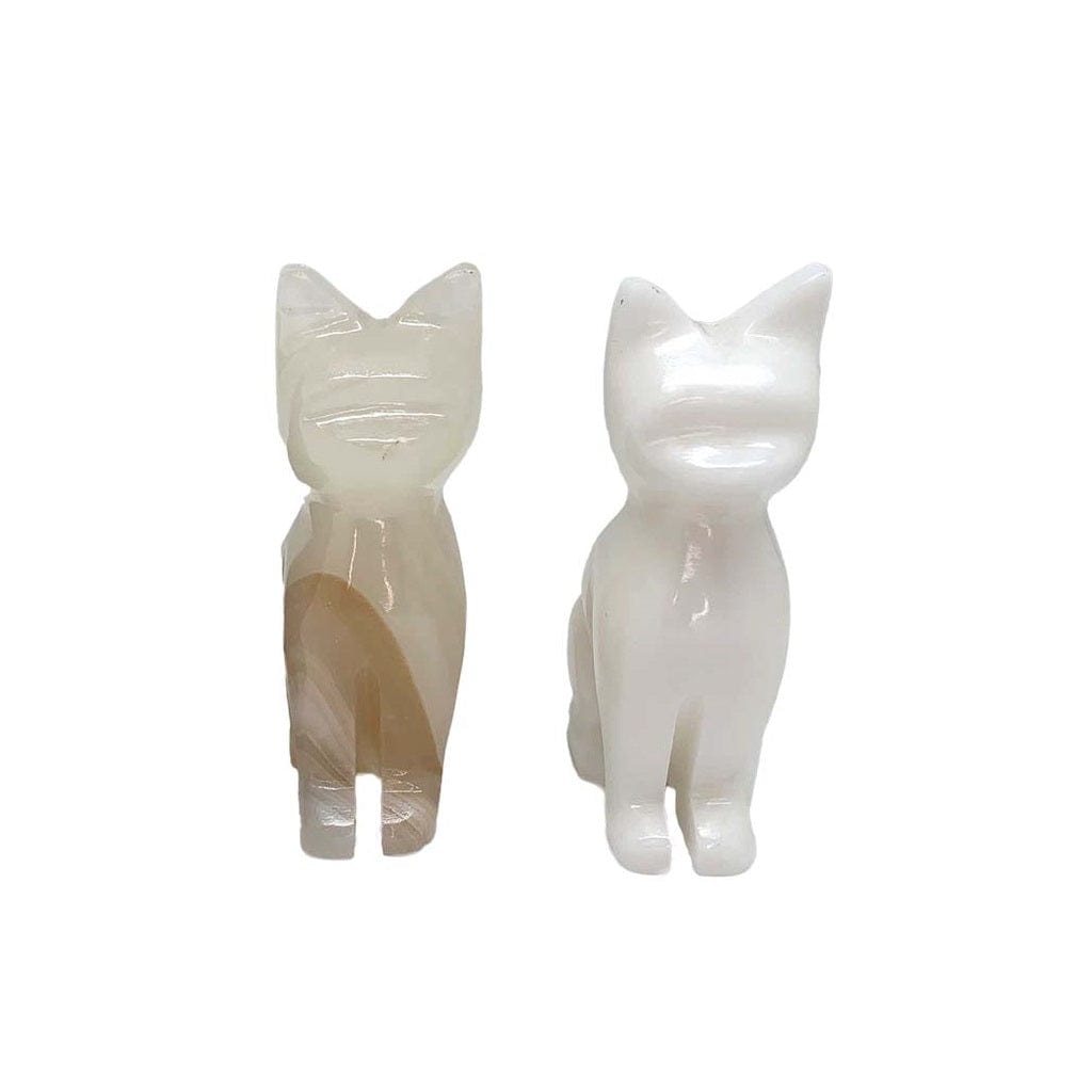 Premium Aragonite White Cat Litter - Natural Odor Control & Clumping for Multi-Cat Homes | Ideal for Indoor Cats & Litter Box Training