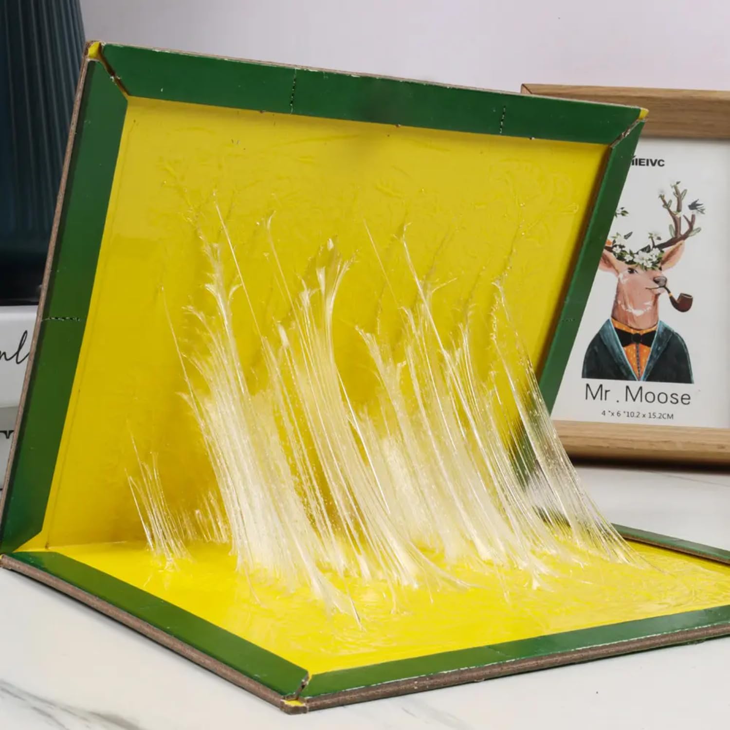 Green & Yellow Sticky Insect Traps for Indoor & Outdoor Use - Large 6.5 x 8 Inch Fly Catcher Glue Boards (Pack of 5) - Perfect for Garden, Greenhouse, and Home Pest Control