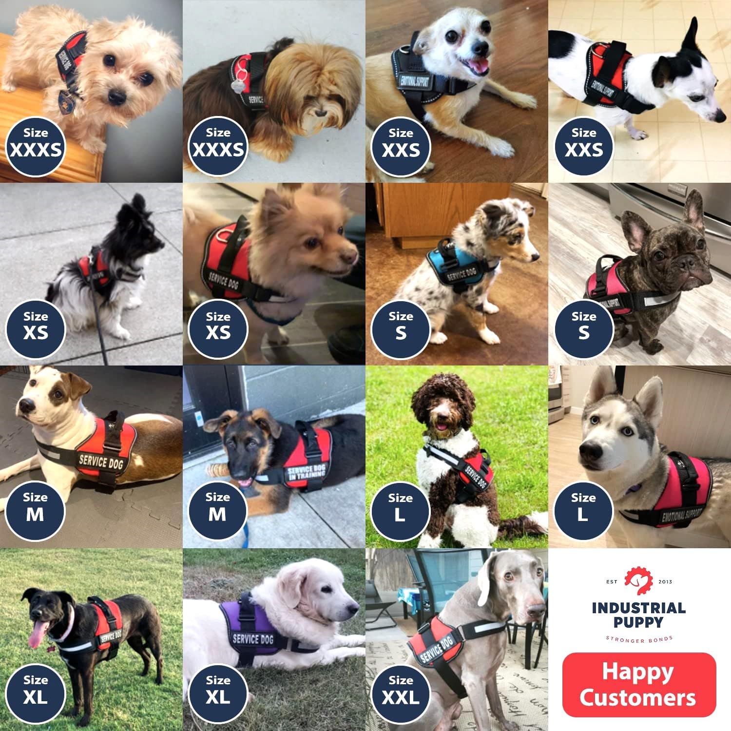 No Pull Dog Harness for Small & Large Dogs - Adjustable Reflective Pet Harness with Hook (XS, 16.5-21.5