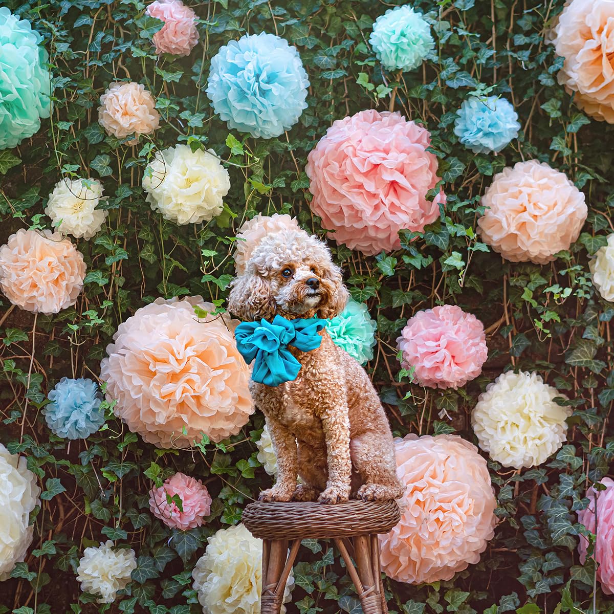 Pastel Tissue Paper Pom Poms - 20pc Rainbow Hanging Paper Flowers for Birthday Party Decorations, Baby Shower, Easter Celebration & Classroom Decor | Perfect for DIY Crafts, Wedding Backdrops and Nursery Room Decor by Avoseta