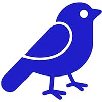 BIRDIE