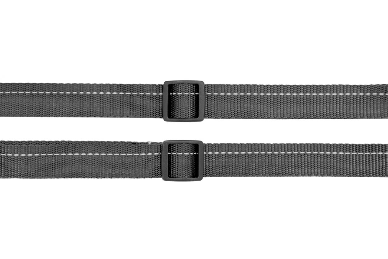 RC Pets Reflective Blueberry Scented Multi-Use Dog Collar - Adjustable Nylon Pet Accessory for Walking, Training & Night Safety