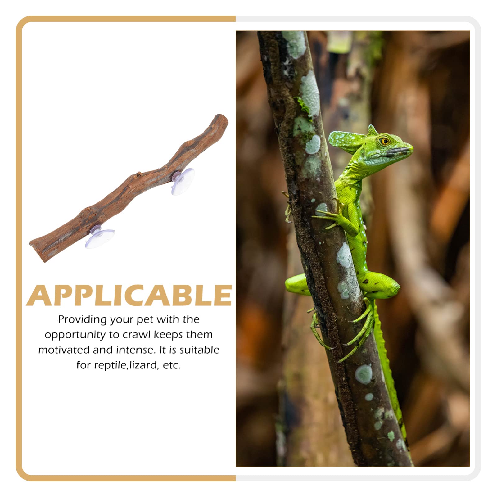 Premium Reptile Climbing Branch - Natural Terrarium Decor with Suction Cups for Lizards, Snakes & Geckos | Perfect for Habitat Enrichment & Vertical Climbing Space in Reptile Tanks