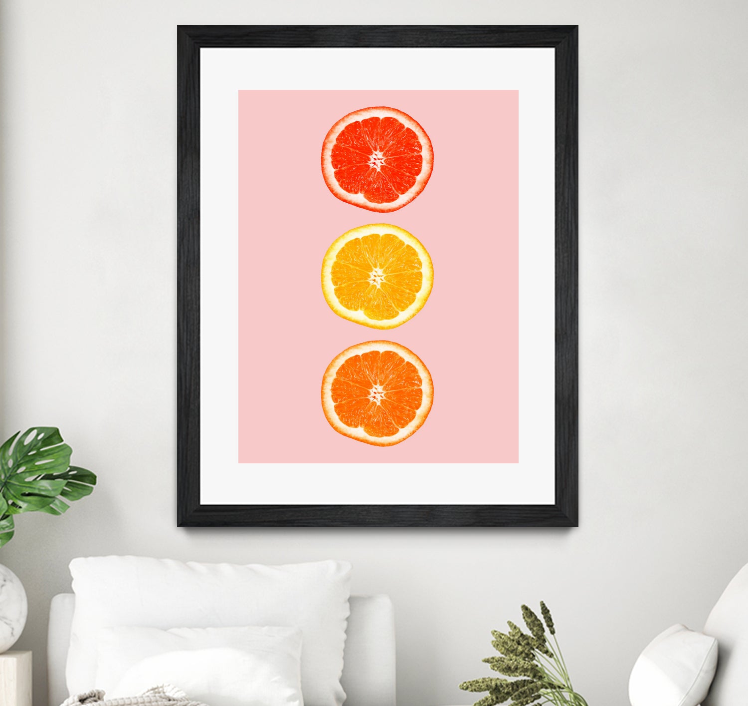 Fresh Organic Citrus Fruits - Oranges, Lemons, Limes & Grapefruits - Perfect for Juicing, Cooking & Healthy Snacking