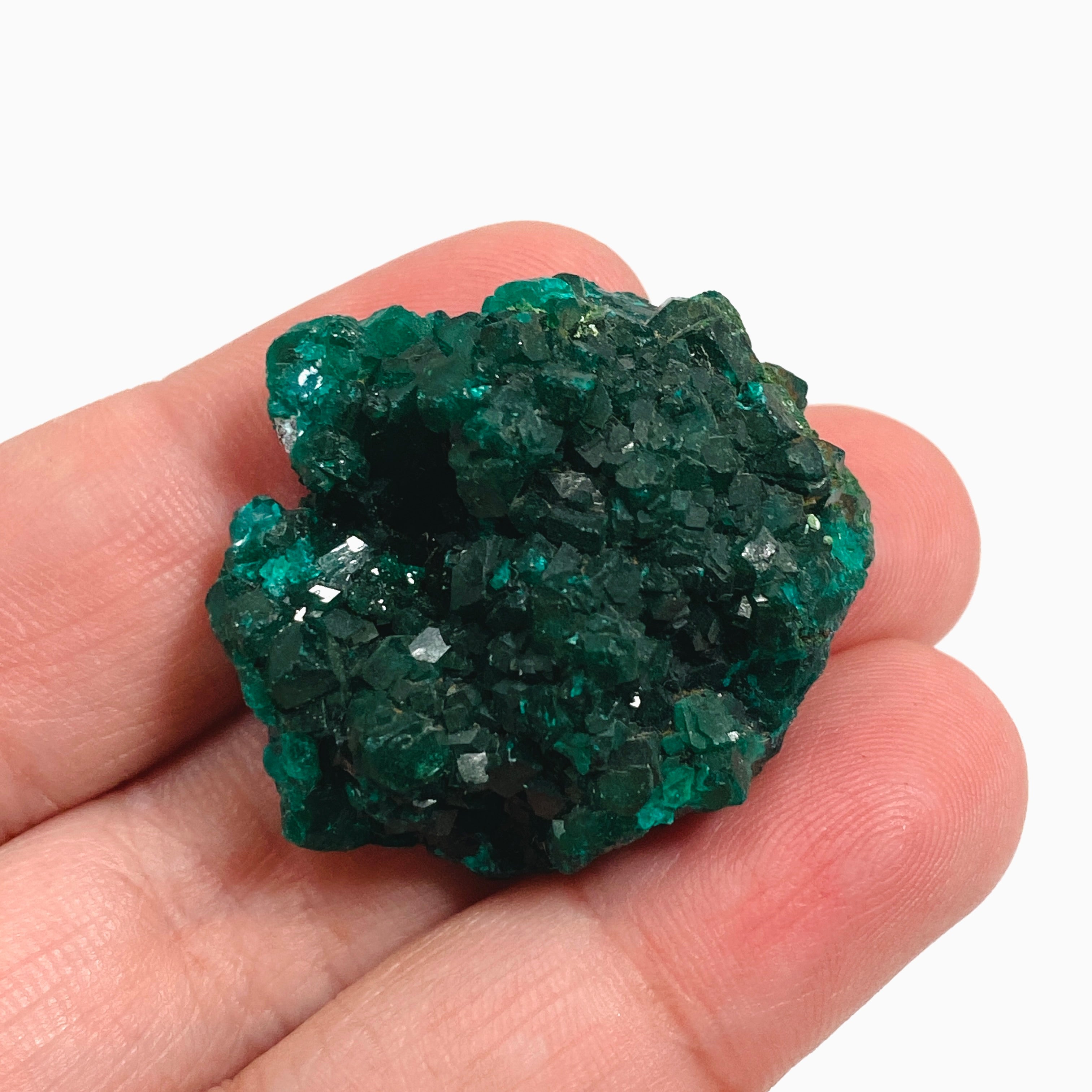 Natural Dioptase Crystal Specimen - DIOPS 03 | Rare Green Mineral Collection for Display, Healing & Meditation | Perfect for Gemstone Enthusiasts & Home Decor