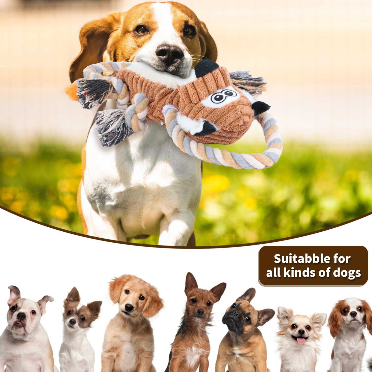 Durable Squeaky Dog Chew Toys with Rope - Interactive Lion Shape Puppy Toy for Small, Medium & Large Dogs | Perfect for Playtime, Training & Teeth Cleaning