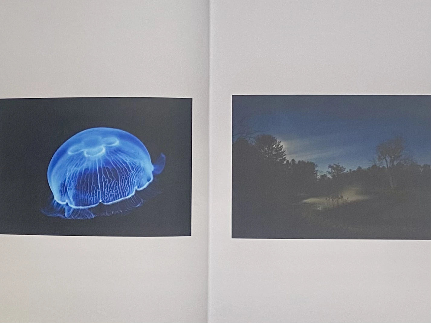 Night Moods: A Shutter Hub Editions Photography Book - Perfect for Coffee Table Decor, Photography Enthusiasts & Art Collectors