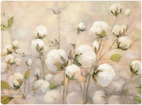 Cotton Field Crop