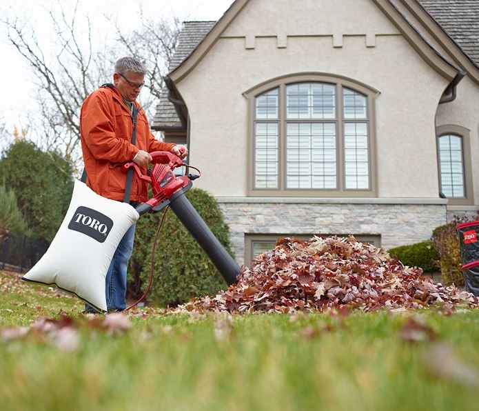 Toro UltraPlus 51621 Leaf Blower - Powerful 250 MPH Gas Blower for Yard, Lawn & Garden Cleanup - Perfect for Fall Leaves, Grass Clippings & Debris Removal