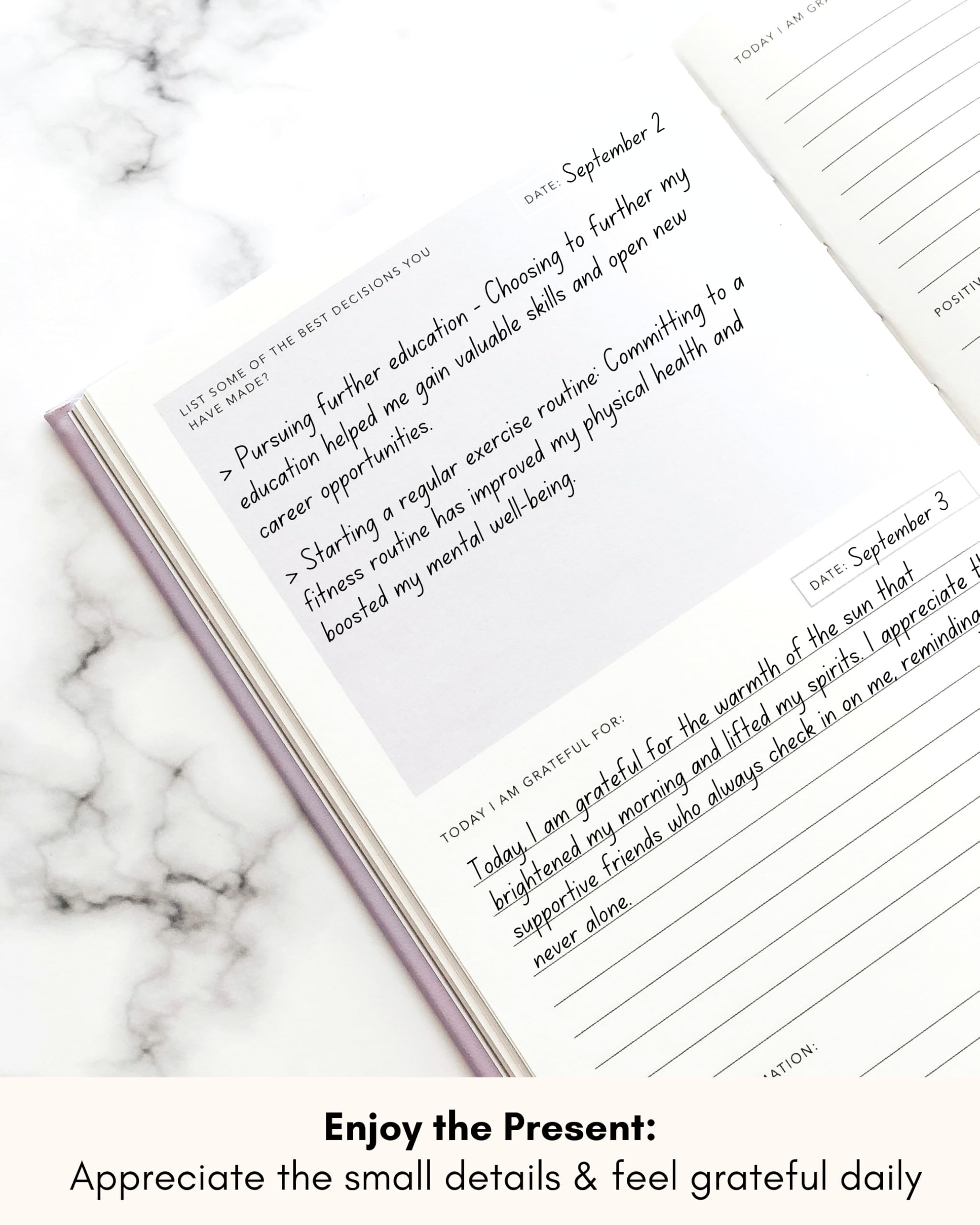 Lamare 2025 Daily Gratitude Journal for Women - Self Care, Affirmation & Mindfulness Planner with Prompts | Perfect for Daily Reflection, Stress Relief & Personal Growth