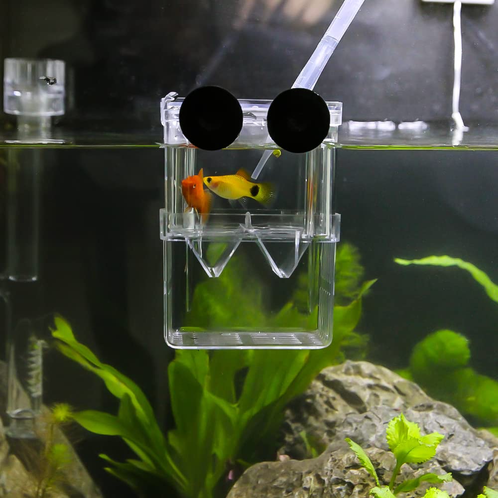 Senzeal Aquarium Fish Breeder Box - Plastic Isolation Breeding & Hatching Incubator for Baby Fish, Shrimp, Clownfish, Guppy Fry | Perfect for Safe Breeding in Home Aquariums & Fish Tanks