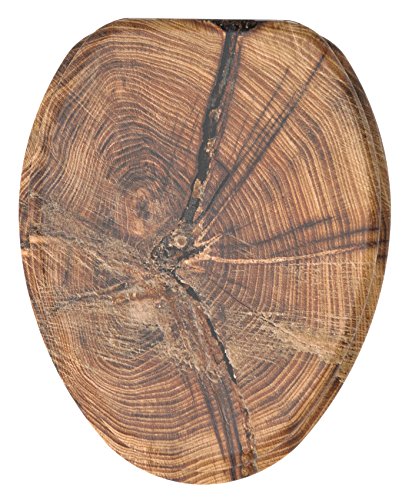 Old Tree