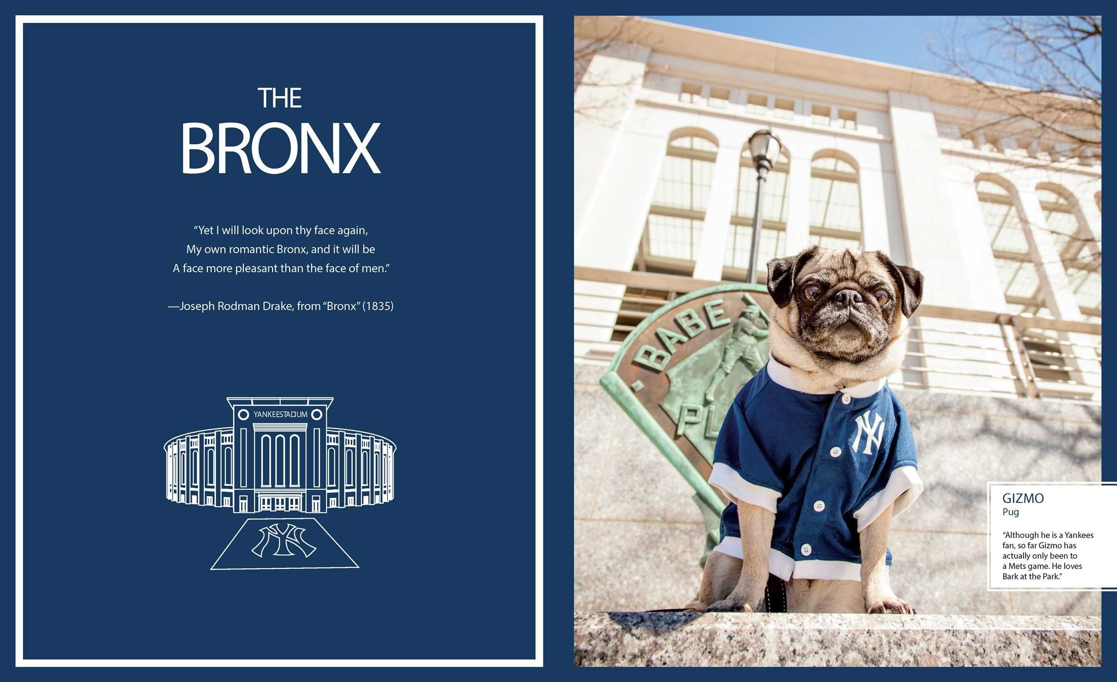 Canines of New York - Premium Dog Accessories & Apparel for Urban Pet Lovers | Perfect for City Walks, Dog Parks & Stylish Pet Owners