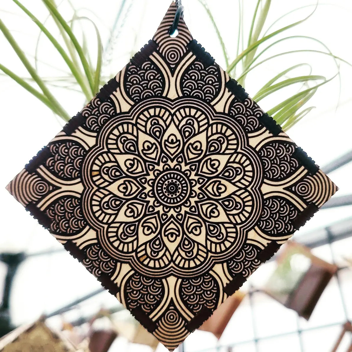 Hemicube Free Hanging Planter - Air Plant Holder | Handmade Wooden Home Decor for Plant Lovers | Unique Wall Display for Living Rooms, Offices & Gifts | Modern Boho Indoor Gardening Decor