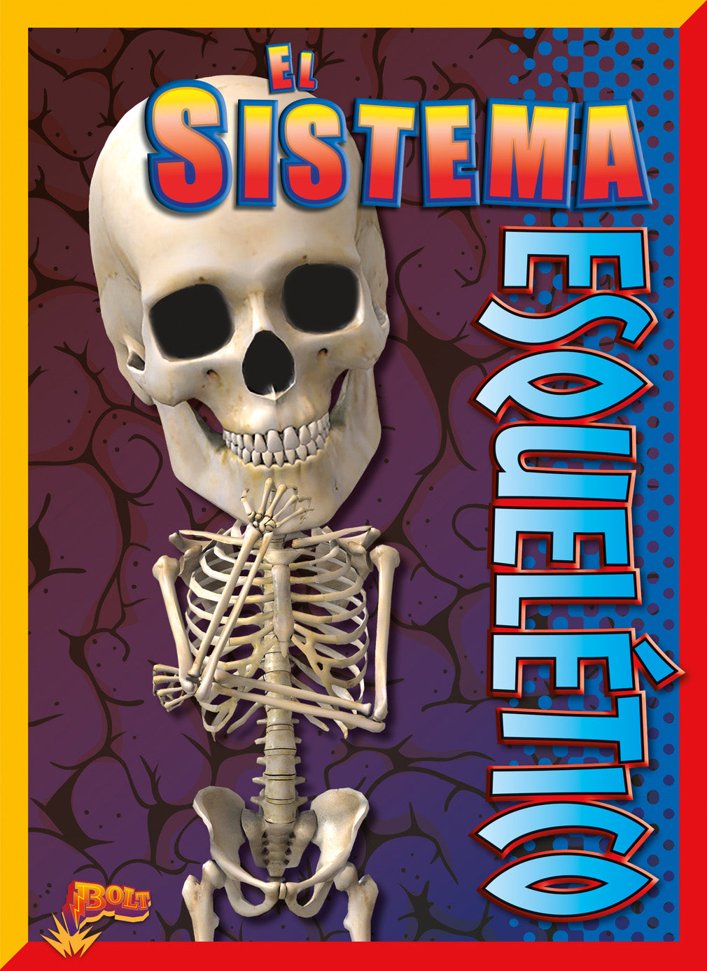 Human Skeletal System Model - Detailed Anatomy for Medical Students & Educators - Perfect for Classroom Study & Healthcare Training