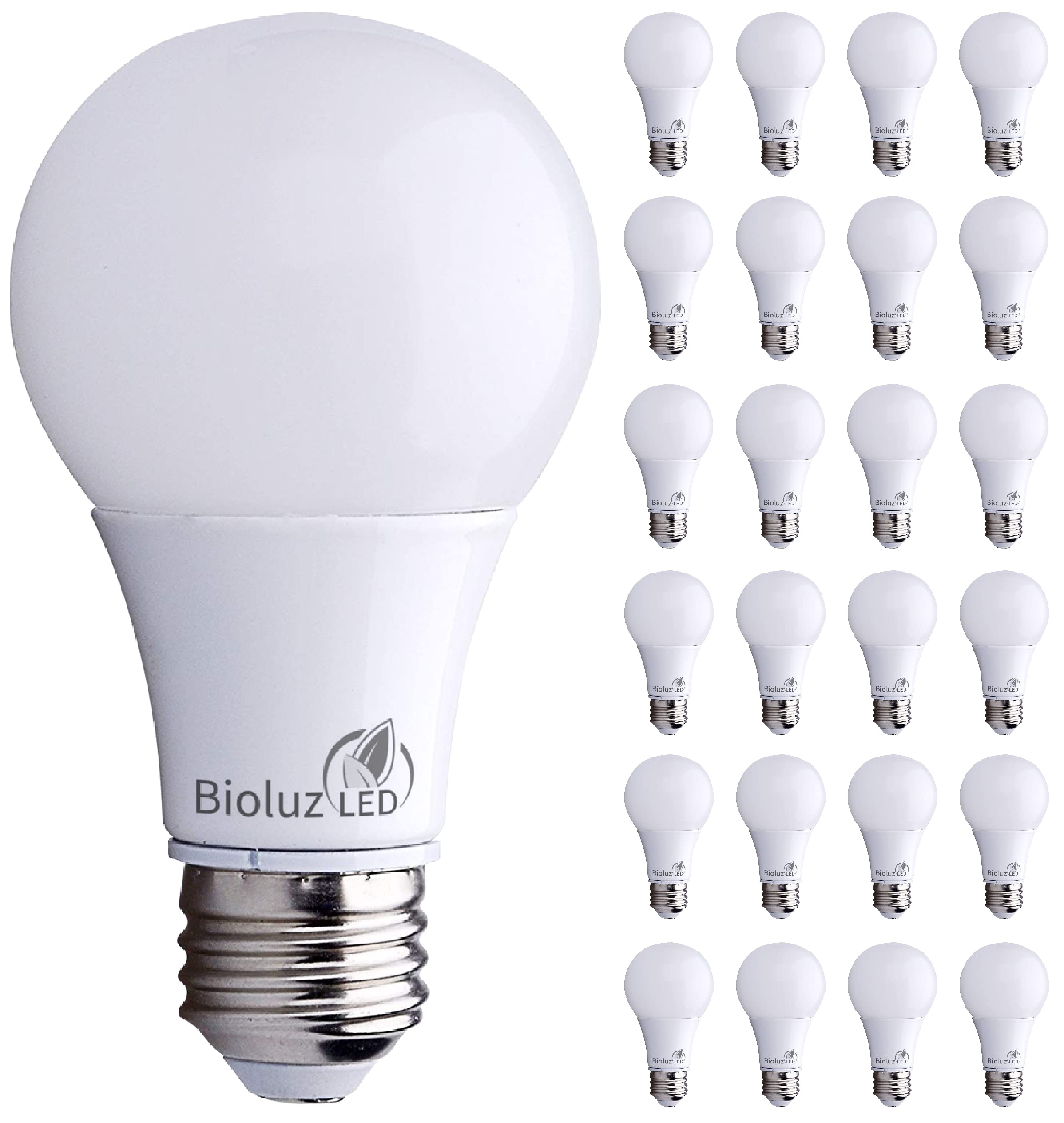 Bioluz LED A19 Light Bulbs 6W (40W Equivalent) 5000K Daylight White, Non-Dimmable Energy Saving Bulbs - 24 Pack for Home, Bedroom, Living Room, Office, and Indoor Lighting