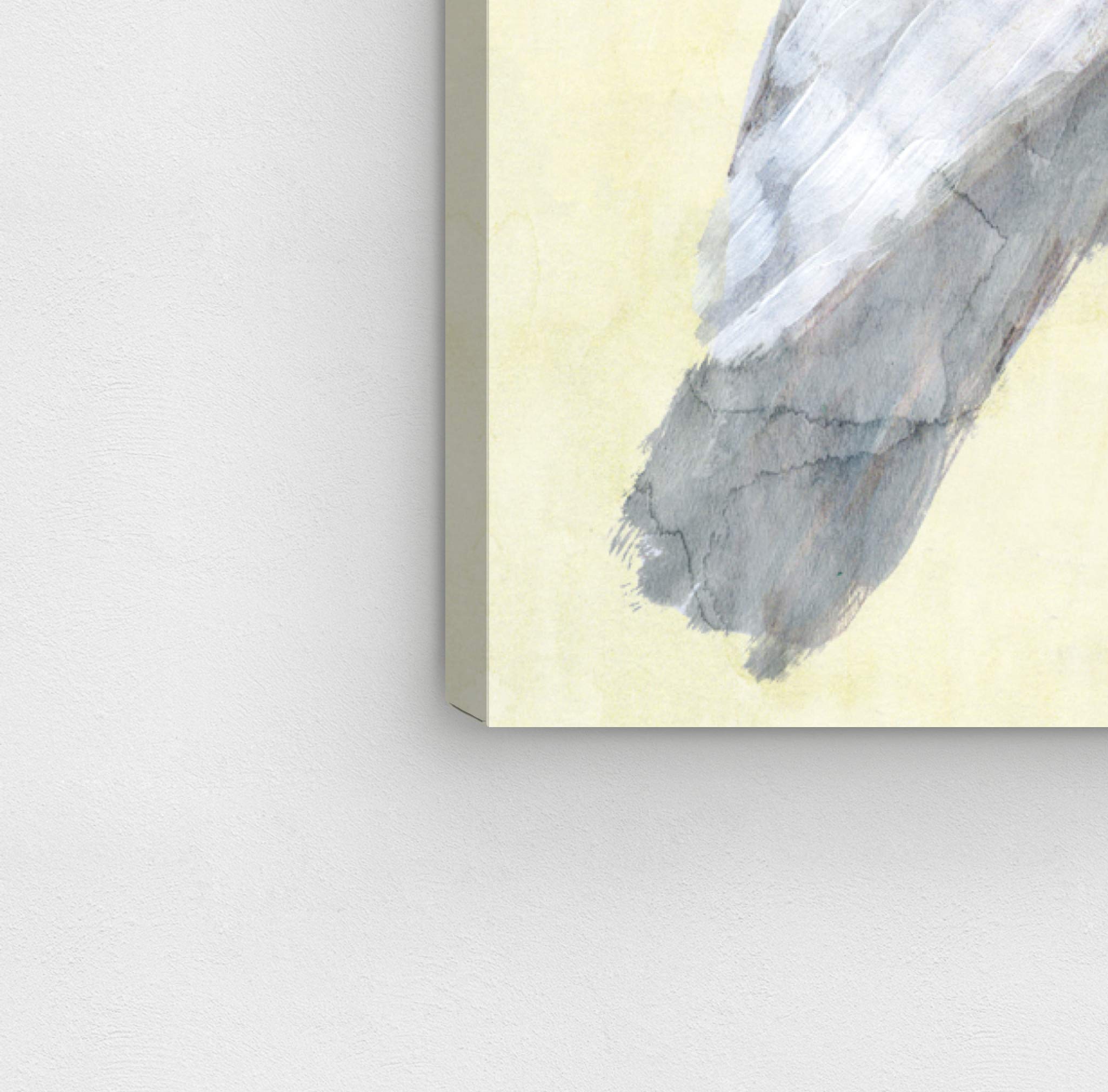 Elegant Cockatoo Wall Art Canvas Print - 20