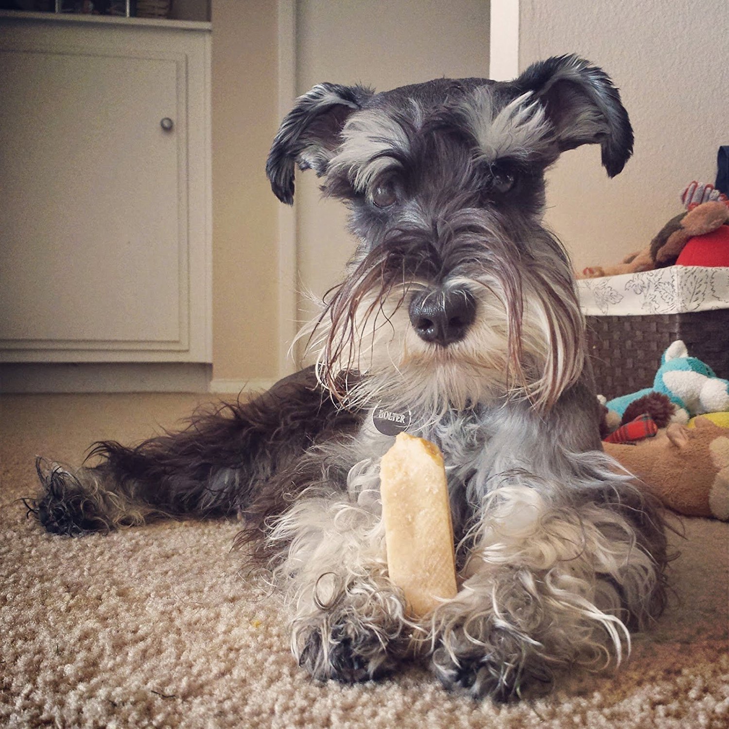 EcoKind Himalayan Yak Cheese Dog Chews - All Natural Premium Dog Treats for Small, Medium & Large Breeds | Healthy, Long-Lasting & Easily Digestible | Perfect for Training, Teething & Dental Health (8-Pack)