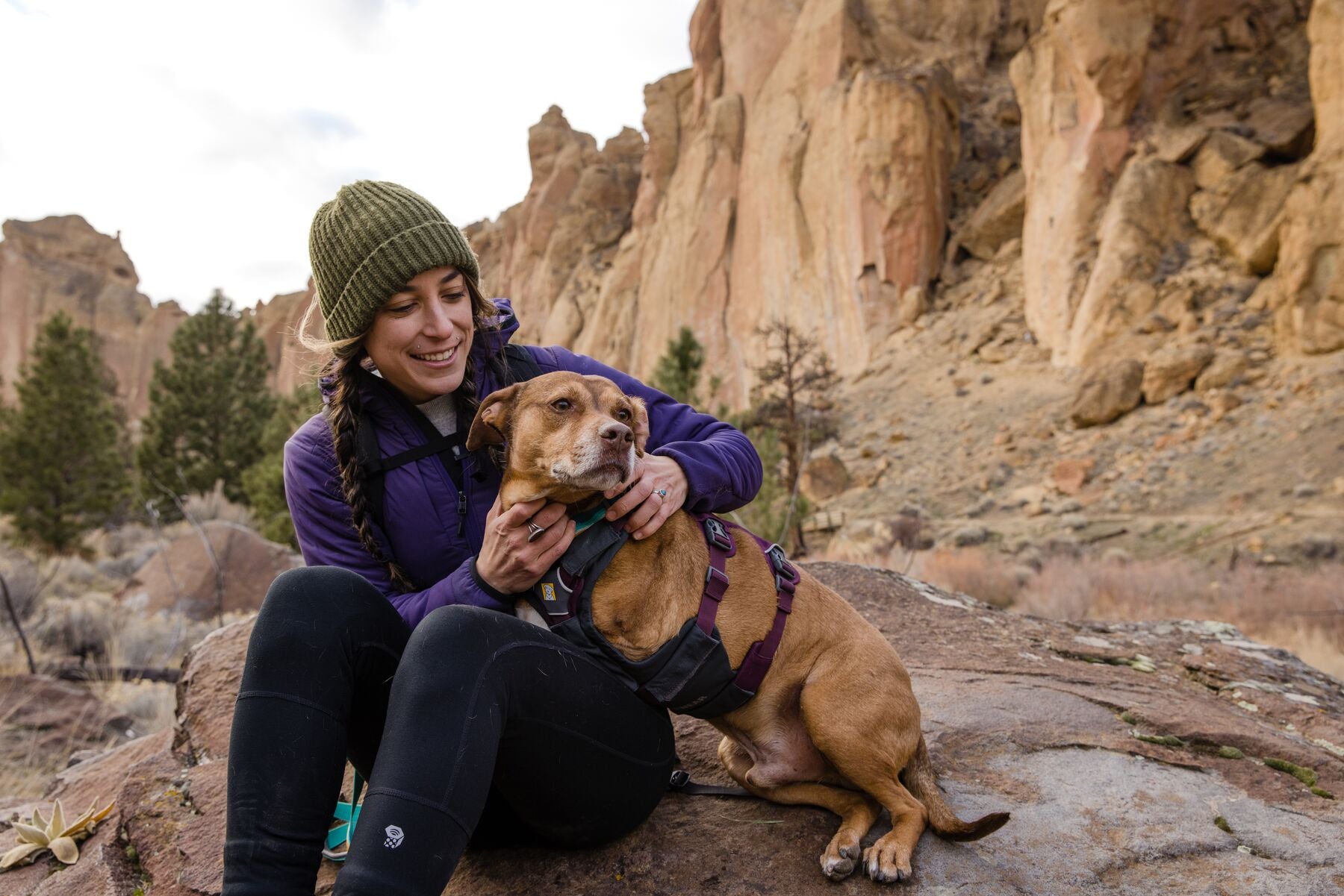 Ruffwear Web Master Harness® - Adjustable Multi-Use Dog Harness with Handle in Blaze Orange - Perfect for Hiking, Running & Outdoor Adventures