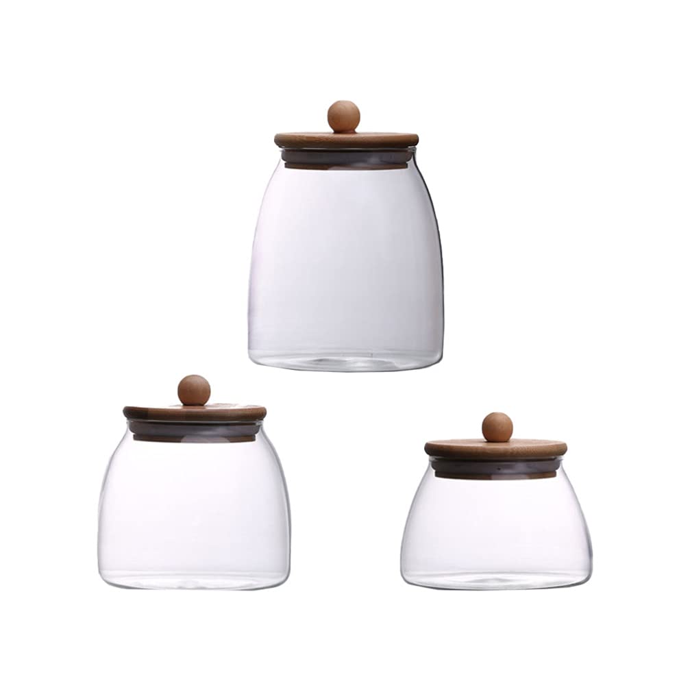 Cabilock 3-Piece Clear Glass Terrarium Food Storage Jars with Wooden Lids - Airtight Containers for Flour, Grains, Cereals, Snacks, Tea & Coffee Beans | Perfect for Kitchen Pantry Organization & Coffee Bar Display
