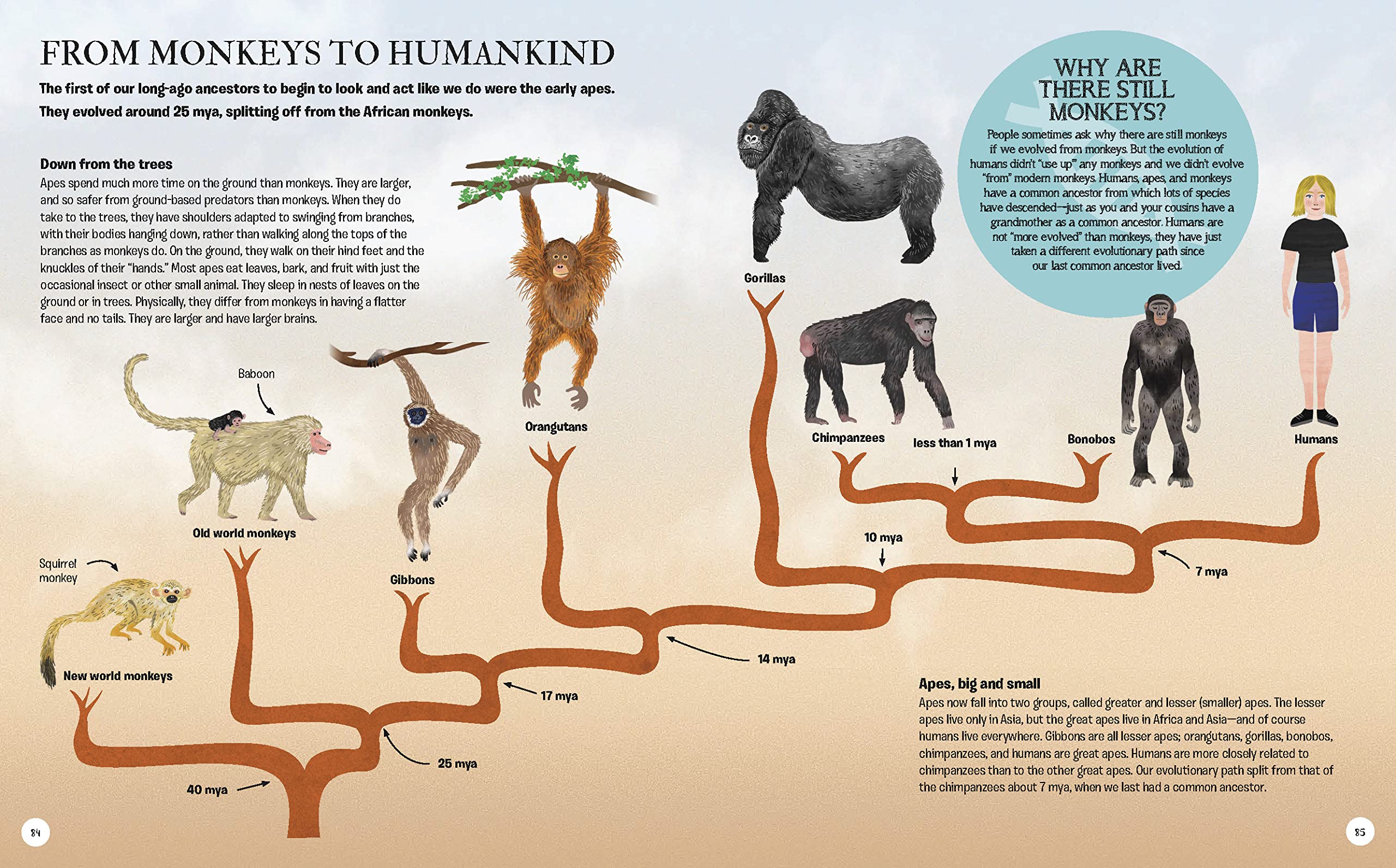 The Story of Humans: From Prehistory to Modern Times - Complete History Book for Adults & Students | Perfect for History Buffs, Classroom Learning & Gift Giving