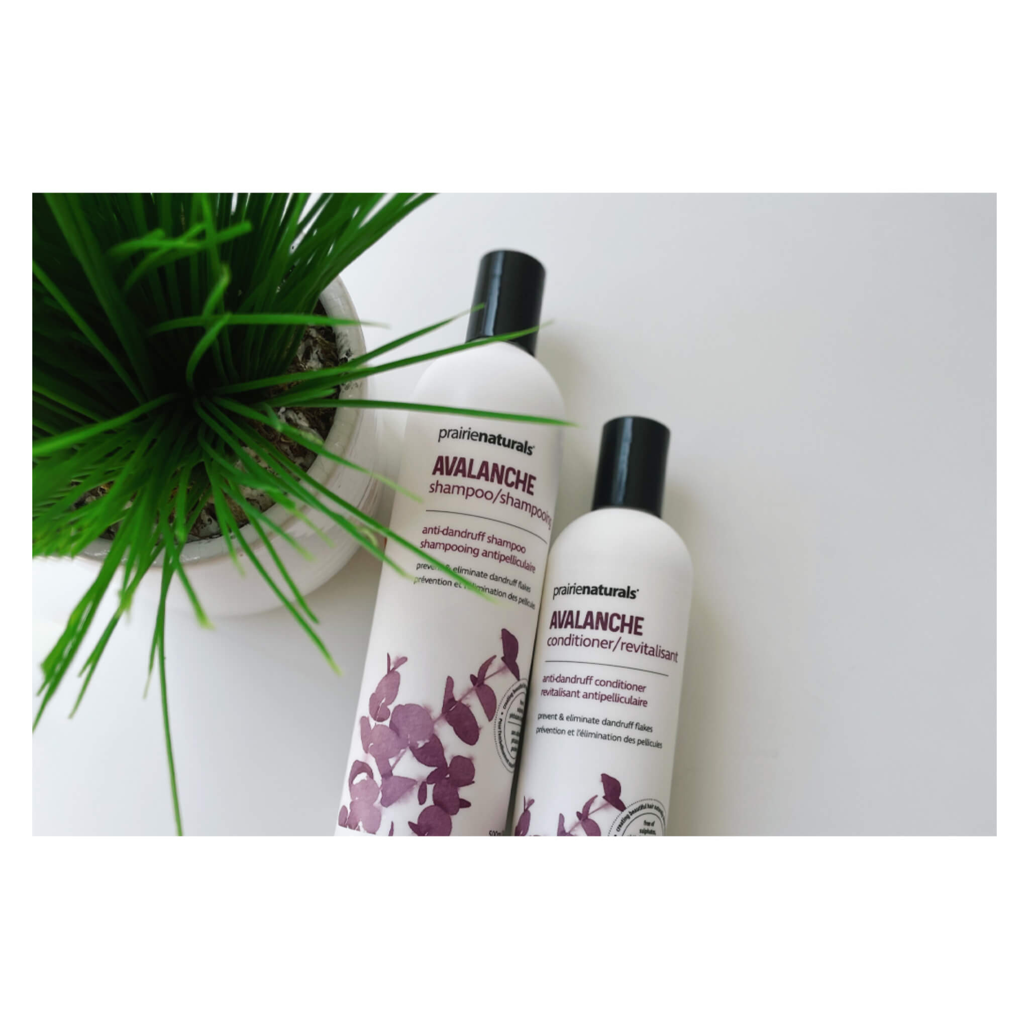 Avalanche Anti-Dandruff Conditioner for Dry Scalp & Itchy Hair - Hydrating & Soothing Treatment for Men & Women | Perfect for Daily Use & Scalp Care