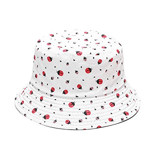 Ladybug