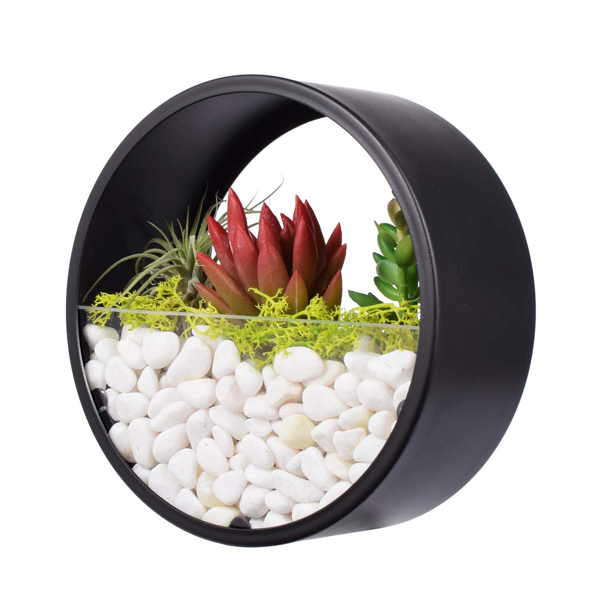 Ecosides 6