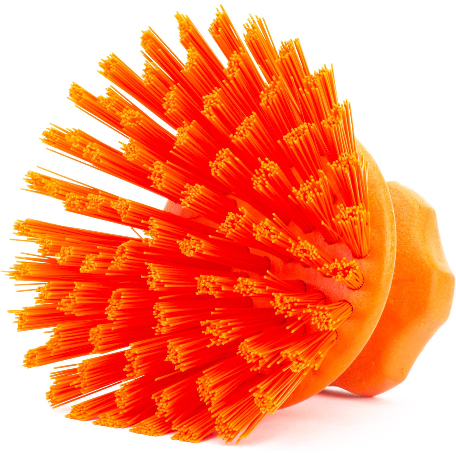 SPARTA 42395EC24 Plastic Scrubber Brush - 6 Pack Round Dish Scrub Brushes for Kitchen, Bathroom, Bathtub, Sink Cleaning - Color Coded Handles (5x5x4 Inches, Orange) - Perfect for Pots, Pans, Tiles & Tough Stains