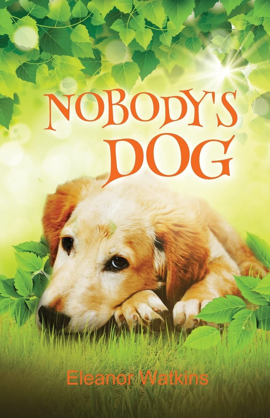 Nobody's Dog - Premium Dog Food for All Breeds & Ages | Grain-Free, High-Protein Nutrition for Healthy Pets | Perfect for Daily Meals, Training Treats & Special Occasions