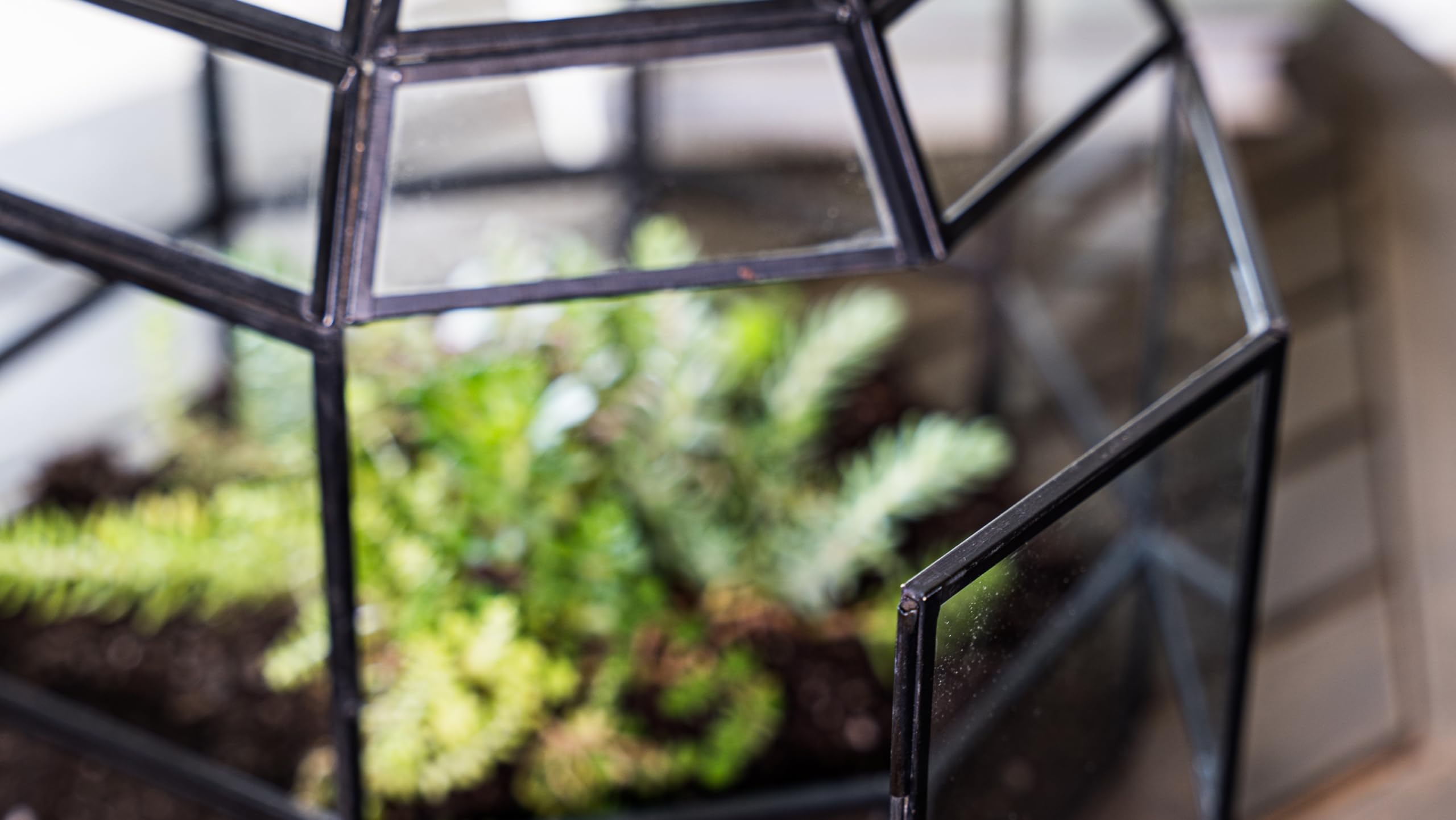 Handmade Large Glass Terrarium for Birds & Plants - 10