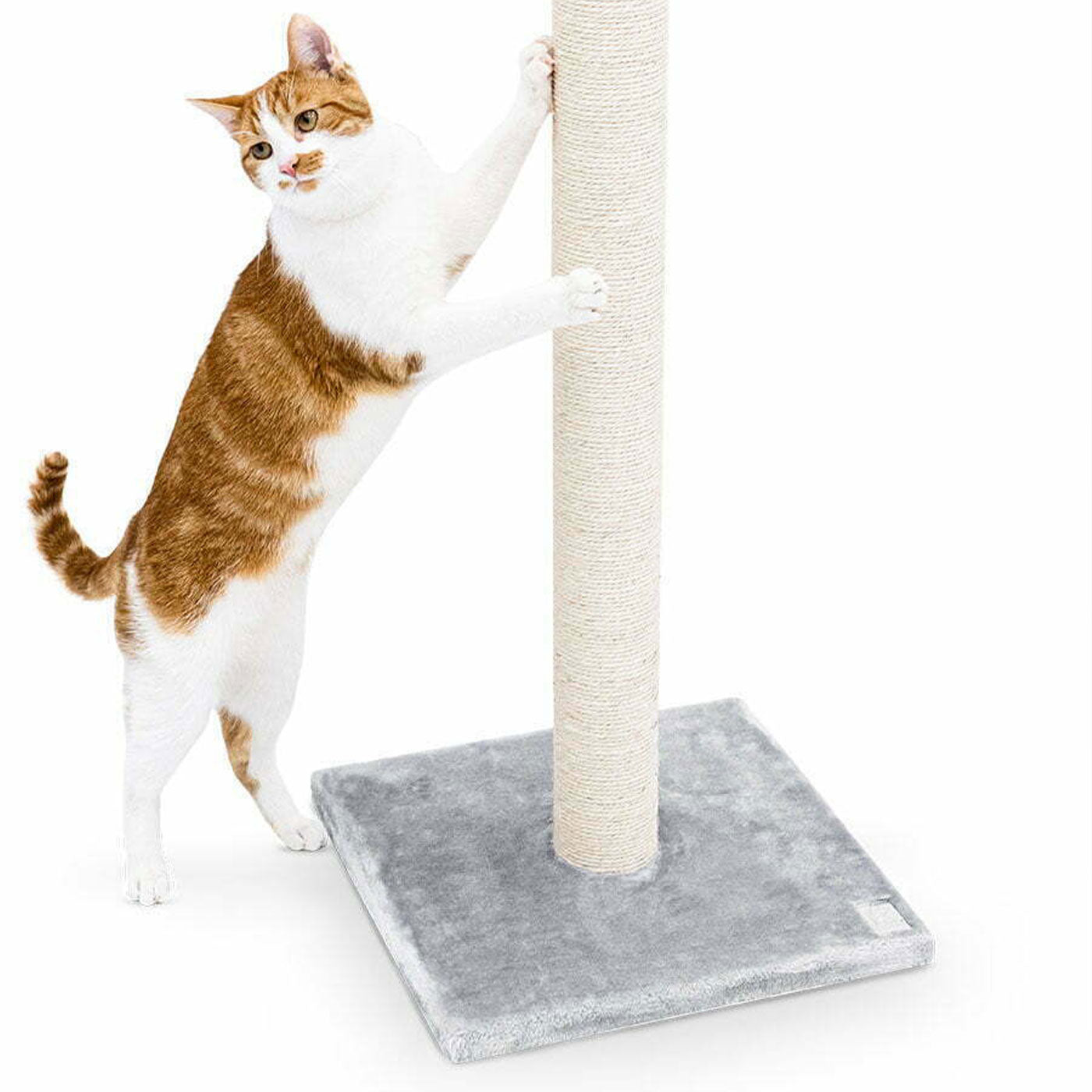 Little Rebels Maine 90cm Cat Tree with Scratching Posts - Multi-Level Cat Condo for Indoor Cats - Perfect for Play, Rest & Climbing - Durable & Stylish Cat Furniture for Home or Office
