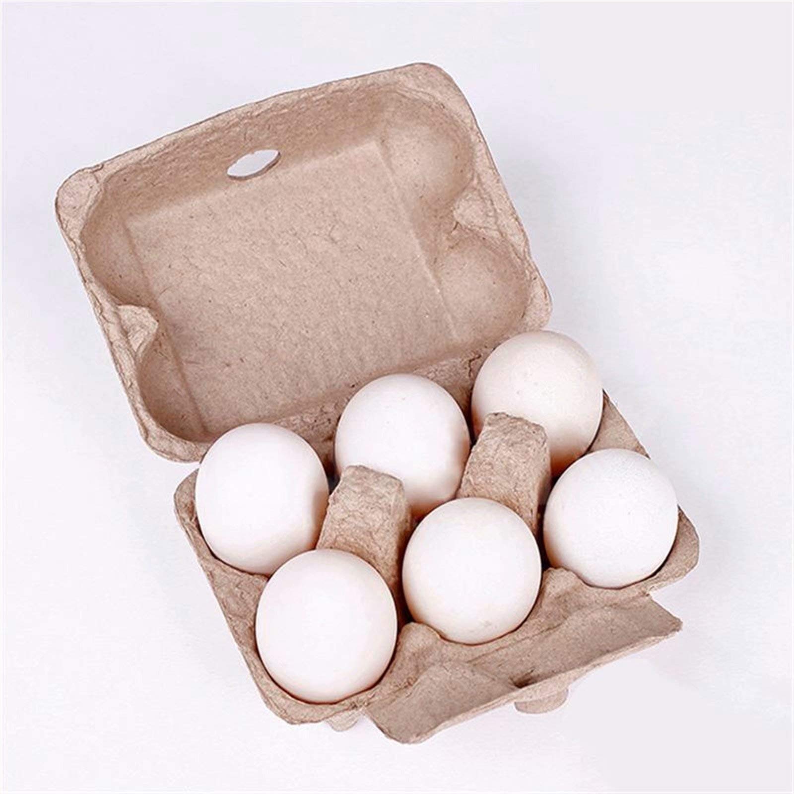 ASkinds 10 Pack Biodegradable 6-Cell Pulp Egg Cartons | Eco-Friendly Reusable Egg Holders for Farm Fresh Eggs | Perfect for Farmers Markets, Home Chicken Coops & Organic Egg Storage