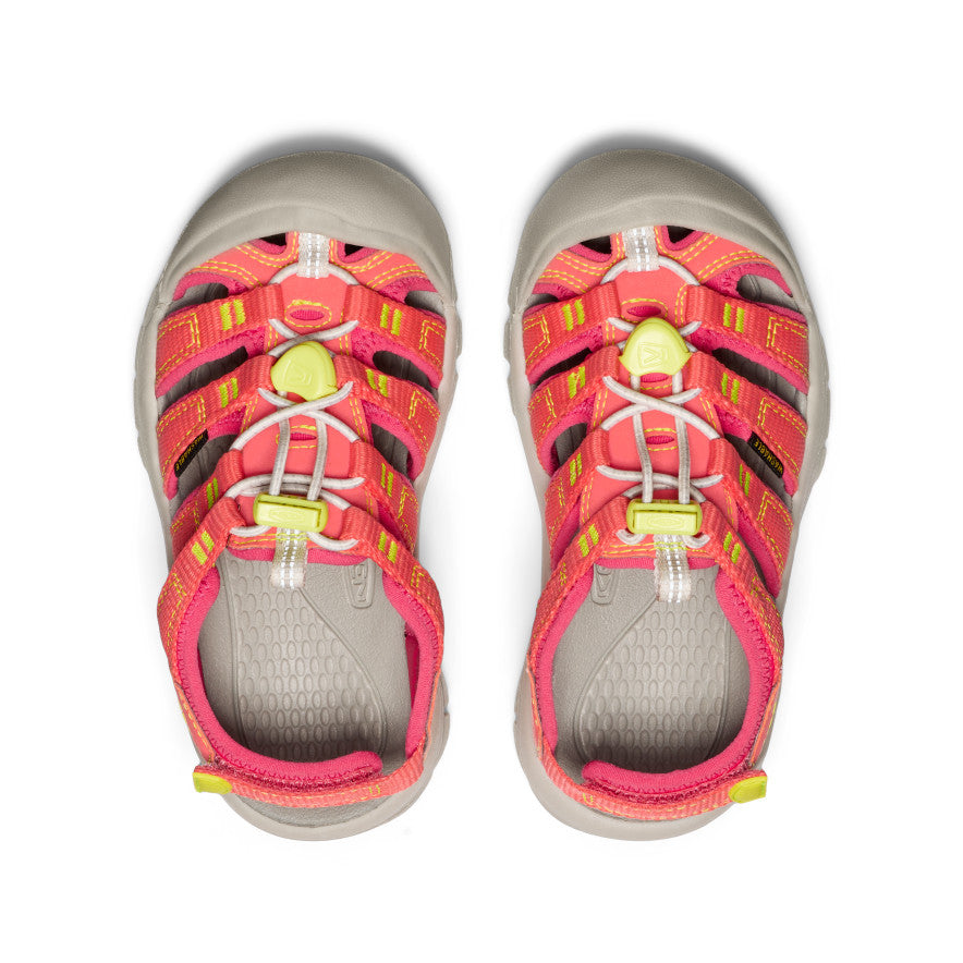 Little Kids' Newport Boundless Sandals - Comfortable & Durable Water Shoes for Beach, Pool & Outdoor Play | Dubarry/Evening Primrose | Perfect for Summer Adventures & Splash Pad Fun