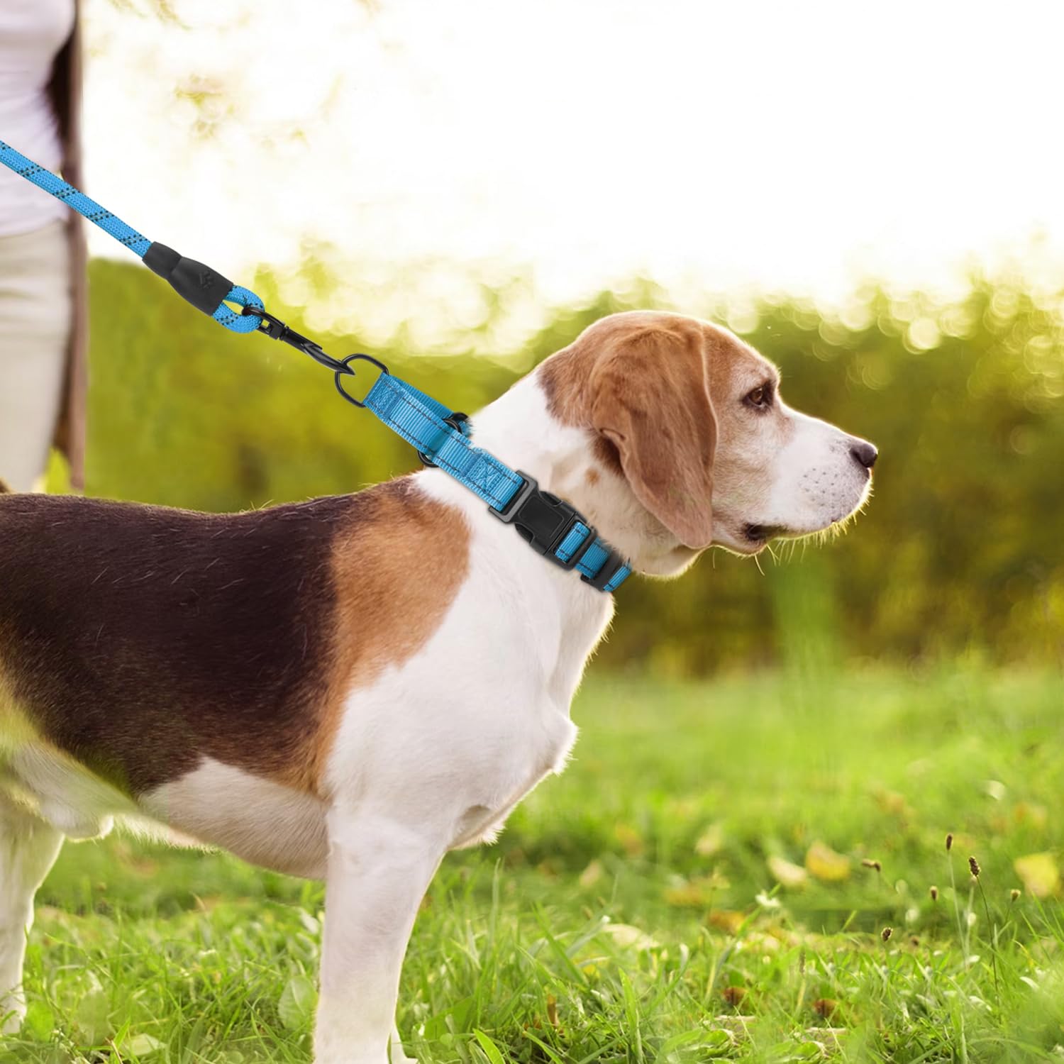 Premium Neoprene Padded Martingale Dog Collar with Reflective Nylon & Quick Release Buckle - Adjustable Training Collar for Medium Dogs (Aqua Blue) - Perfect for Daily Walks, Obedience Training & Nighttime Safety