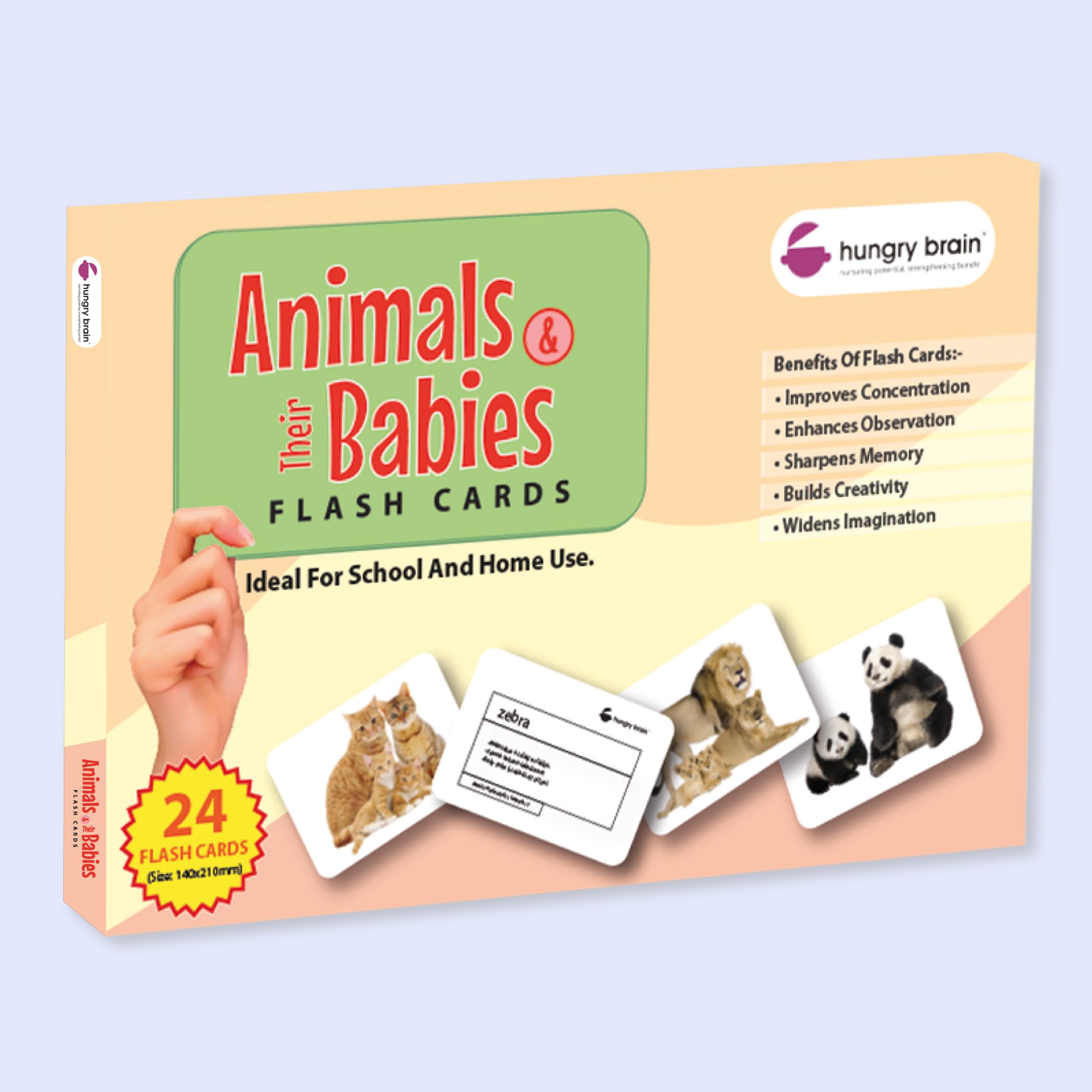 Hungry Brain Toddler Flash Cards - 24 Double-Sided A5 Animal & Baby Animal Learning Cards for Preschool Education (3 Months to 6 Years) | Perfect for Early Childhood Development, Homeschooling & Montessori Activities